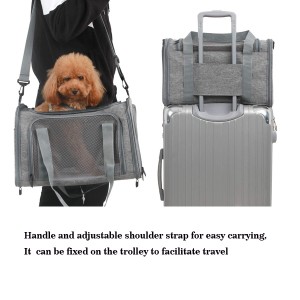 Pet Travel Carrier
