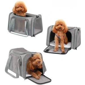Pet Travel Carrier