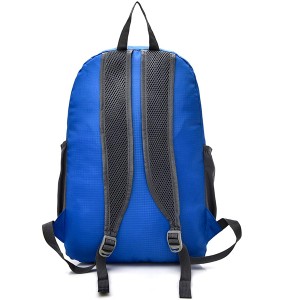 Foldable Travel Backpack