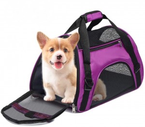 Collapsible Pet Travel Carrier