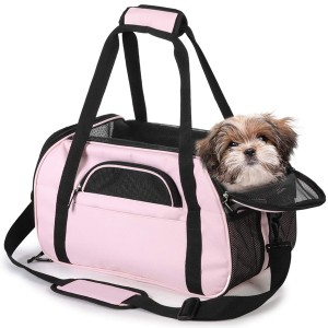 Collapsible Pet Travel Carrier