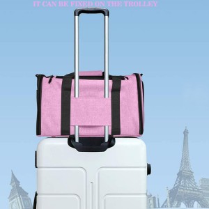 Pet Travel Carrier