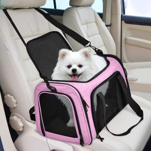 Pet Travel Carrier