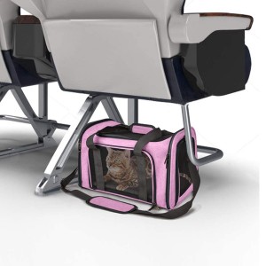Pet Travel Carrier