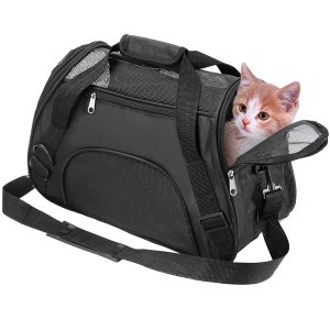 Collapsible Pet Travel Carrier