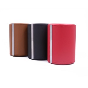 Watch case travel