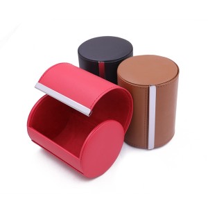 Watch case travel