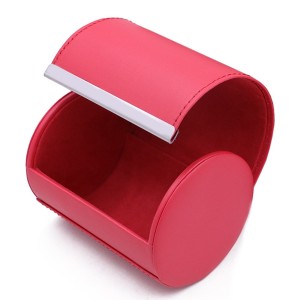 Watch case travel