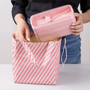 Reusable cooler lunch tote/bag