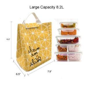 Reusable lunch tote/bag