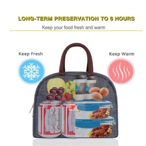 Insulated Lunch Cooler Bag