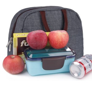 Insulated Lunch Cooler Bag