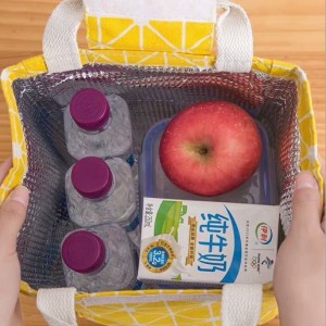 Reusable lunch tote/bag