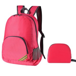 Foldable Travel Daypack