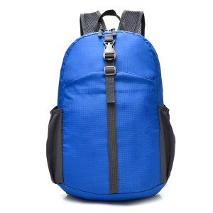 Foldable Travel Backpack