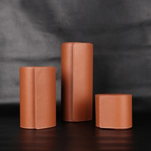 Luxury Leather Watch Case