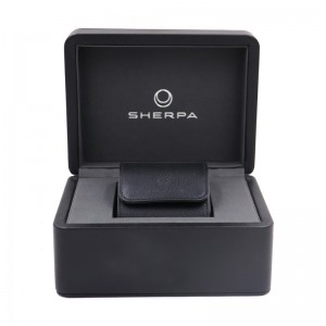 Single watch case set