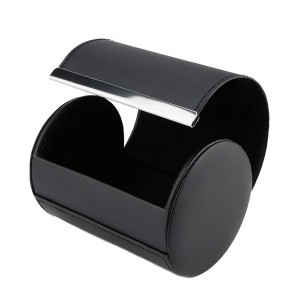 Watch case travel